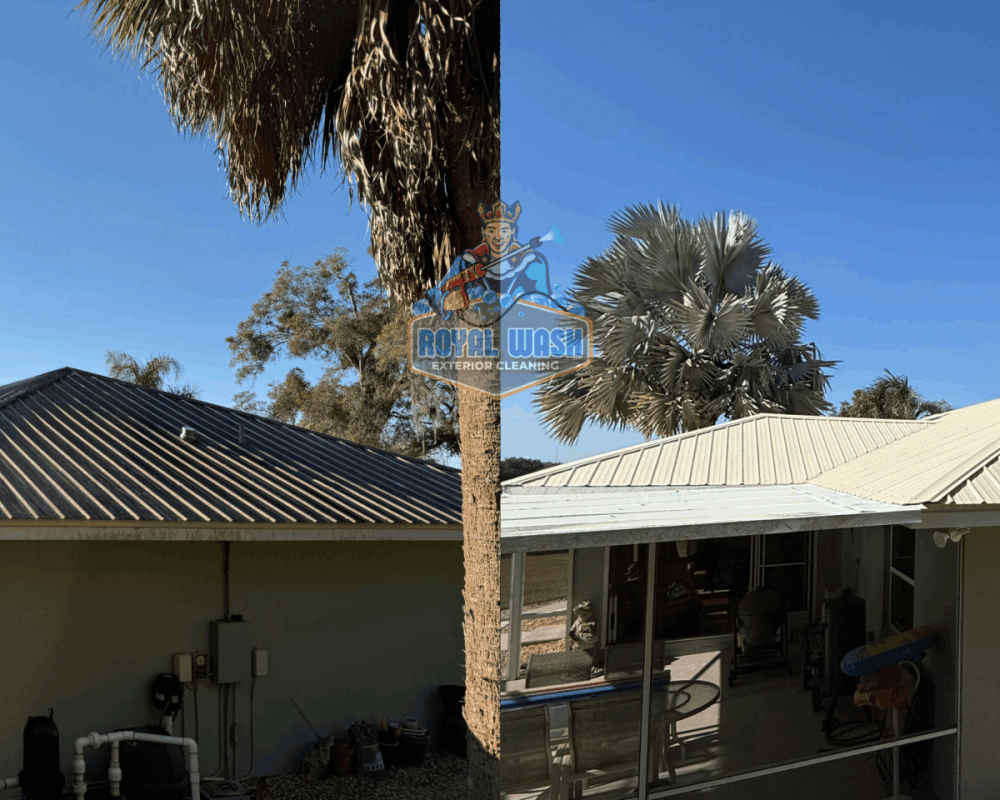 Untitled design - 2025-11-22T191407.812